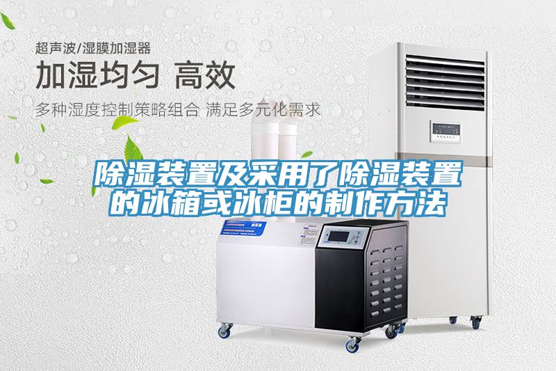 除濕裝置及采用了除濕裝置的冰箱或冰柜的制作方法