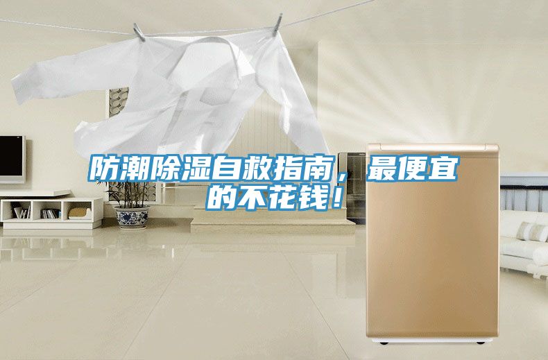 防潮除濕自救指南，最便宜的不花錢！