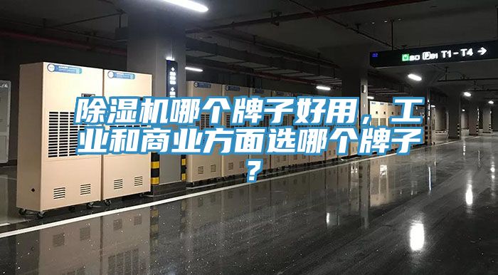 除濕機哪個牌子好用，工業(yè)和商業(yè)方面選哪個牌子？