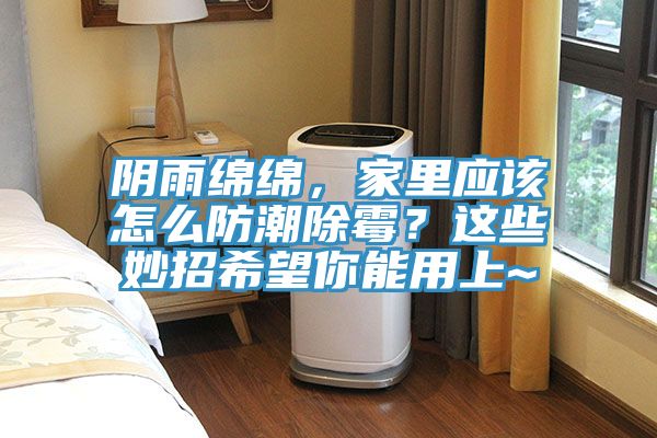 陰雨綿綿，家里應該怎么防潮除霉？這些妙招希望你能用上~