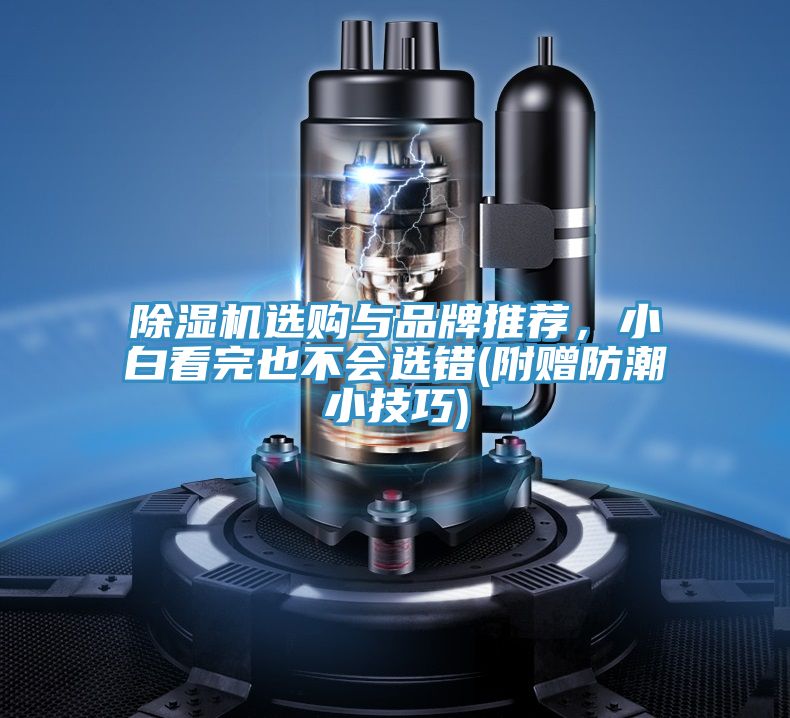 除濕機(jī)選購與品牌推薦，小白看完也不會(huì)選錯(cuò)(附贈(zèng)防潮小技巧)