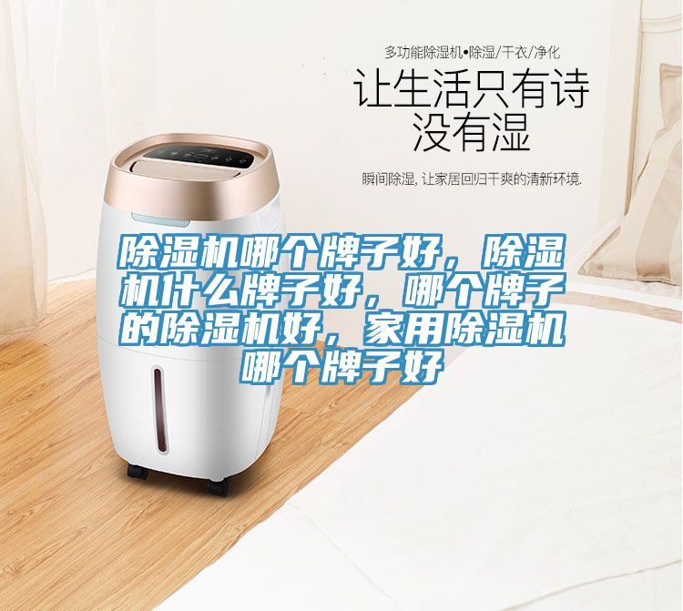 除濕機哪個牌子好，除濕機什么牌子好，哪個牌子的除濕機好，家用除濕機哪個牌子好