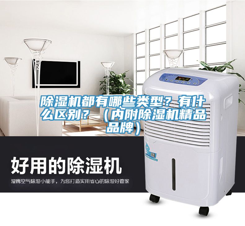 除濕機(jī)都有哪些類型？有什么區(qū)別？（內(nèi)附除濕機(jī)精品品牌）
