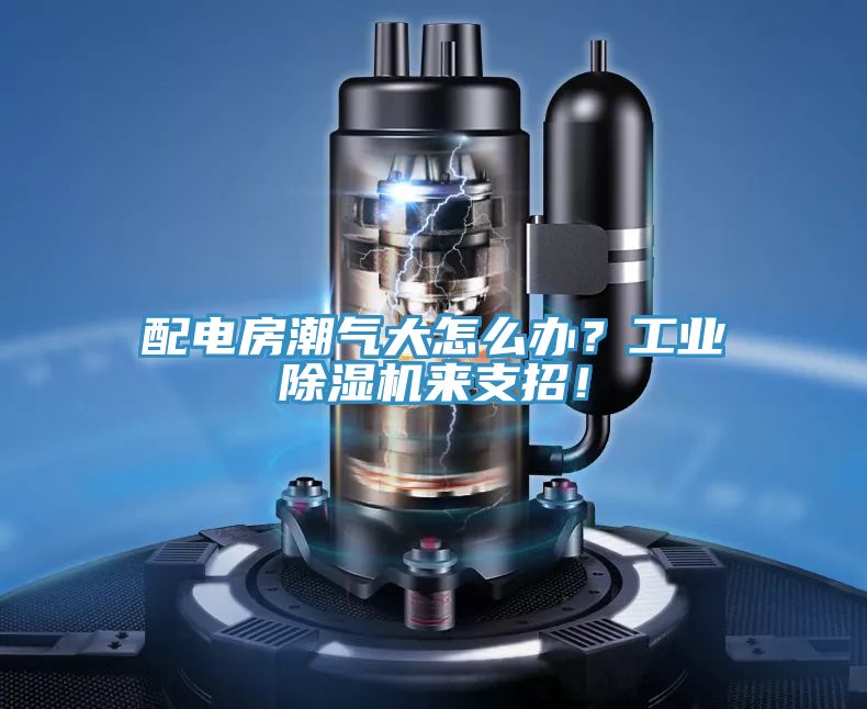 配電房潮氣大怎么辦？工業(yè)除濕機來支招！