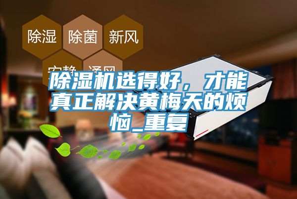 除濕機(jī)選得好，才能真正解決黃梅天的煩惱_重復(fù)