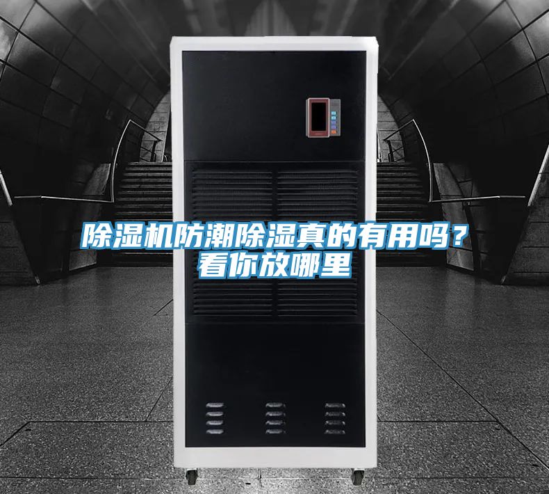 除濕機(jī)防潮除濕真的有用嗎？看你放哪里