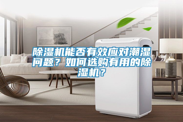 除濕機(jī)能否有效應(yīng)對(duì)潮濕問(wèn)題？如何選購(gòu)有用的除濕機(jī)？