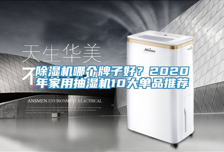 除濕機哪個牌子好？2020年家用抽濕機10大單品推薦