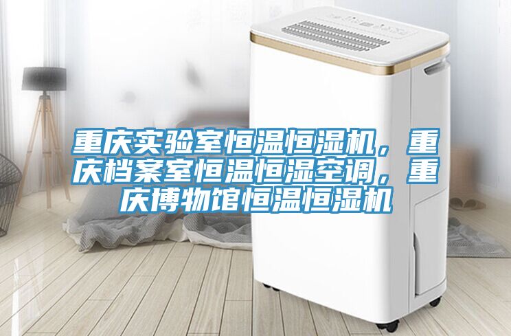 重慶實驗室恒溫恒濕機，重慶檔案室恒溫恒濕空調(diào)，重慶博物館恒溫恒濕機