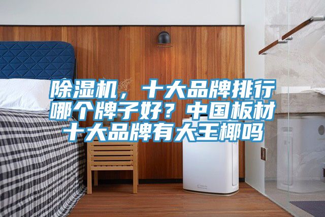 除濕機(jī)，十大品牌排行哪個(gè)牌子好？中國(guó)板材十大品牌有大王椰嗎