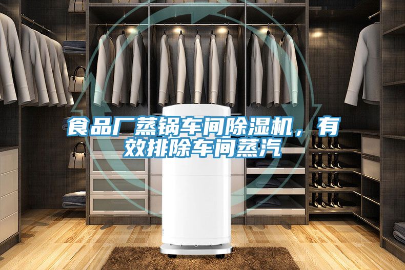 食品廠蒸鍋車間除濕機(jī)，有效排除車間蒸汽