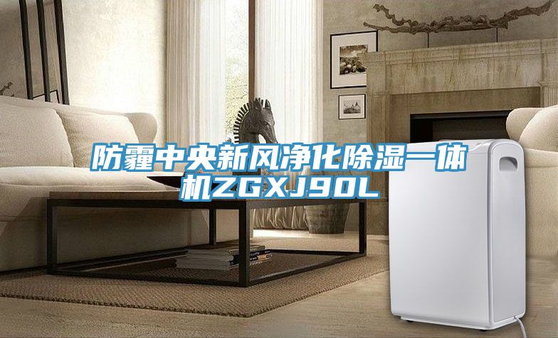 防霾中央新風(fēng)凈化除濕一體機ZGXJ90L