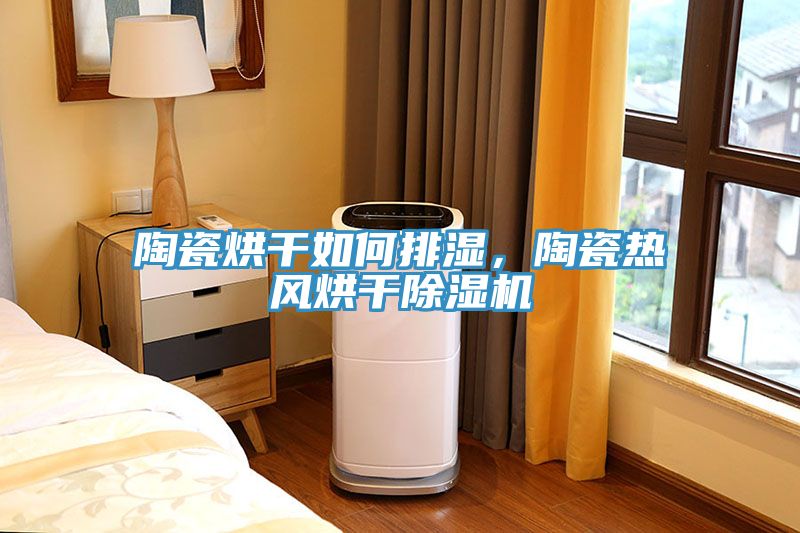 陶瓷烘干如何排濕，陶瓷熱風(fēng)烘干除濕機(jī)