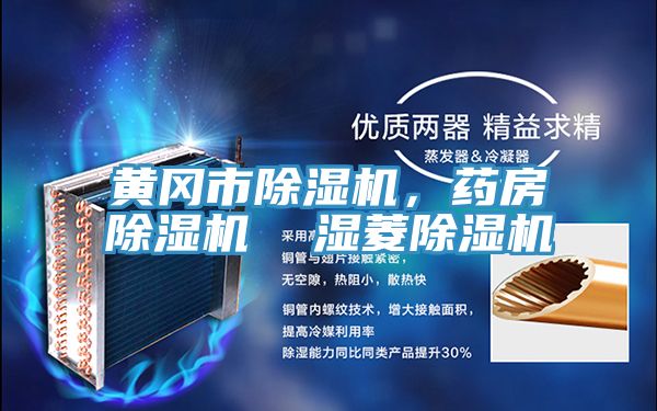 黃岡市除濕機，藥房除濕機  濕菱除濕機