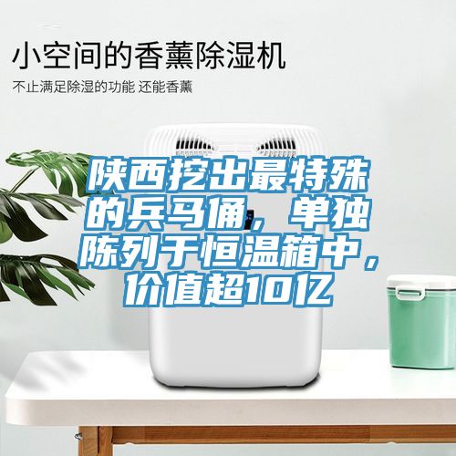 陜西挖出最特殊的兵馬俑，單獨(dú)陳列于恒溫箱中，價(jià)值超10億