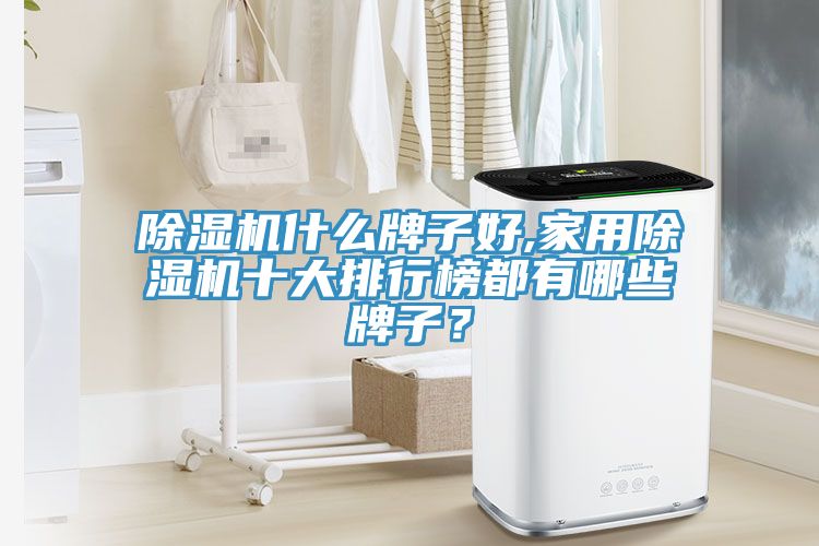 除濕機(jī)什么牌子好,家用除濕機(jī)十大排行榜都有哪些牌子？
