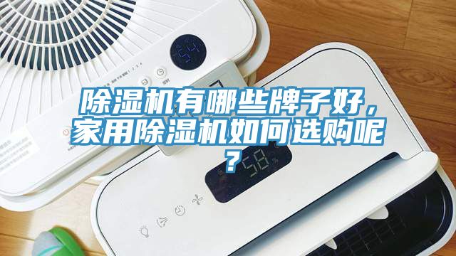 除濕機有哪些牌子好，家用除濕機如何選購呢？