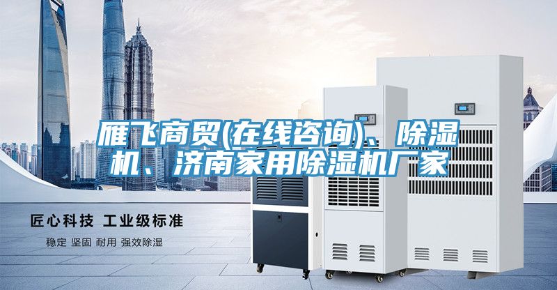 雁飛商貿(mào)(在線咨詢)、除濕機(jī)、濟(jì)南家用除濕機(jī)廠家