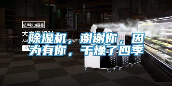 除濕機(jī)，謝謝你，因?yàn)橛心?，干燥了四?></div>
								<div   id=