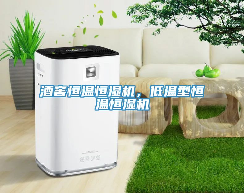酒窖恒溫恒濕機，低溫型恒溫恒濕機
