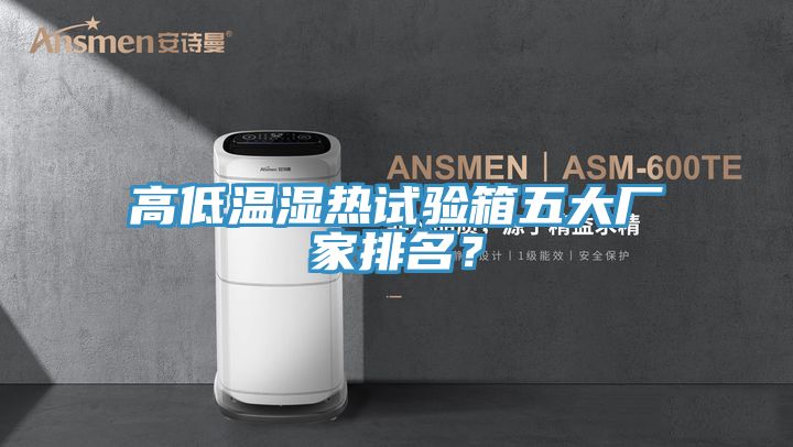 高低溫濕熱試驗(yàn)箱五大廠家排名？