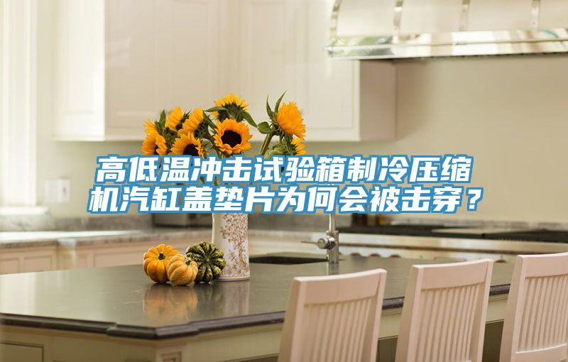 高低溫沖擊試驗(yàn)箱制冷壓縮機(jī)汽缸蓋墊片為何會(huì)被擊穿？