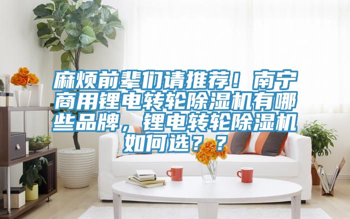 麻煩前輩們請(qǐng)推薦！南寧商用鋰電轉(zhuǎn)輪除濕機(jī)有哪些品牌，鋰電轉(zhuǎn)輪除濕機(jī)如何選？？