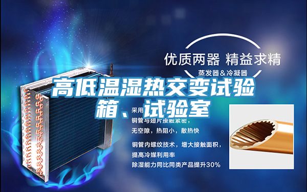 高低溫濕熱交變?cè)囼?yàn)箱、試驗(yàn)室