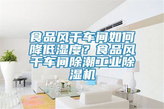 食品風(fēng)干車間如何降低濕度？食品風(fēng)干車間除潮工業(yè)除濕機(jī)