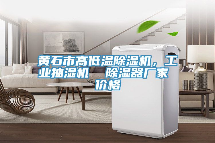 黃石市高低溫除濕機(jī)，工業(yè)抽濕機(jī)  除濕器廠家 價(jià)格