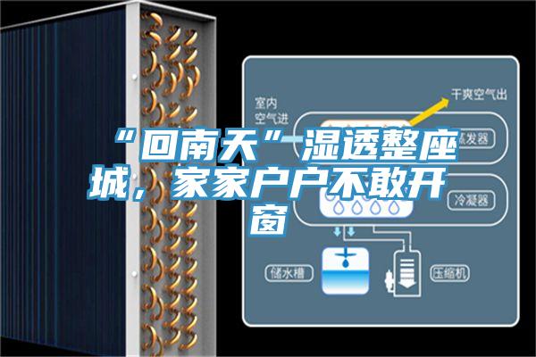 “回南天”濕透整座城，家家戶戶不敢開窗