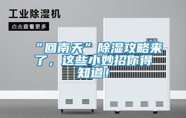 “回南天”除濕攻略來了，這些小妙招你得知道！