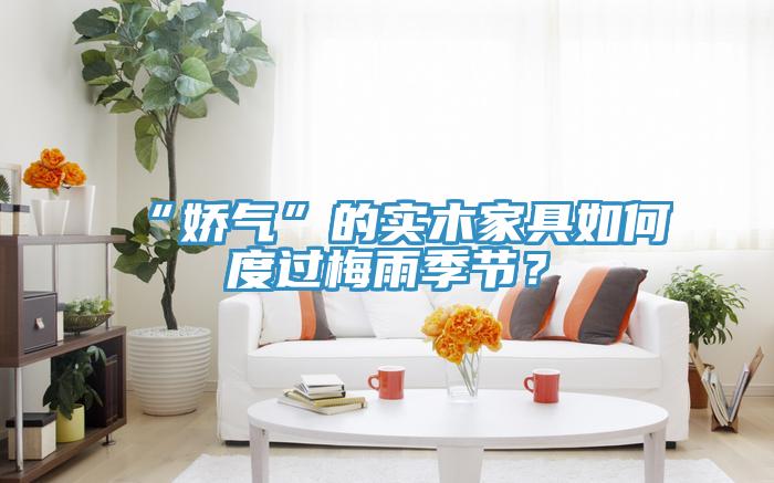 “嬌氣”的實(shí)木家具如何度過(guò)梅雨季節(jié)？