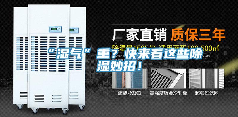 “濕氣”重？快來(lái)看這些除濕妙招！