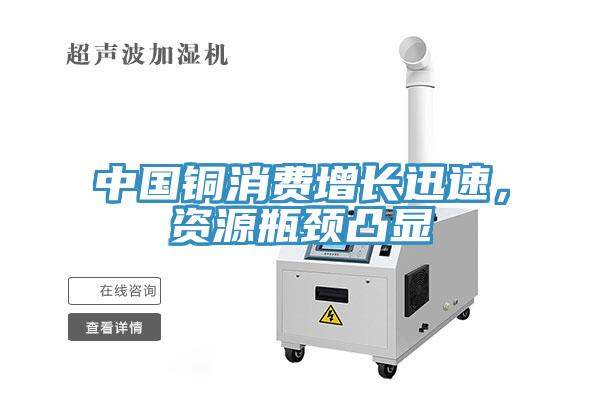 中國銅消費(fèi)增長迅速，資源瓶頸凸顯