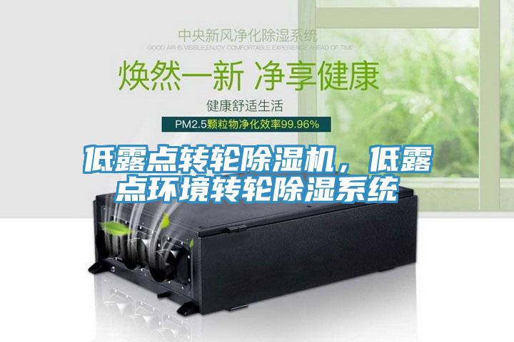 低露點轉(zhuǎn)輪除濕機，低露點環(huán)境轉(zhuǎn)輪除濕系統(tǒng)