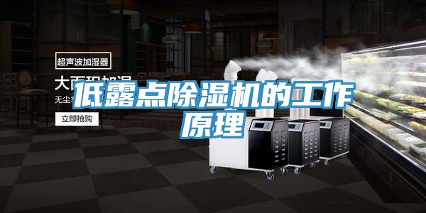 低露點(diǎn)除濕機(jī)的工作原理