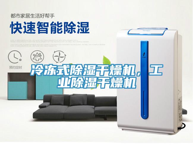 冷凍式除濕干燥機(jī)，工業(yè)除濕干燥機(jī)