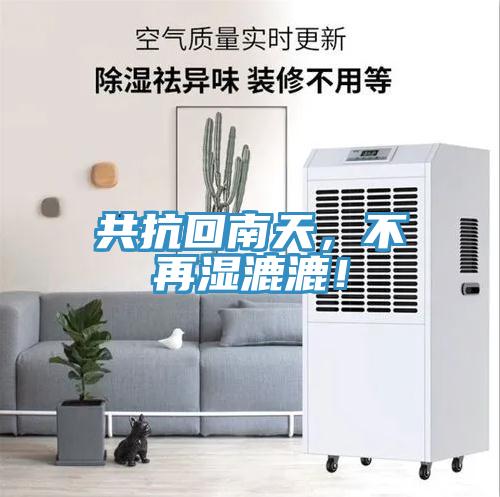 共抗回南天，不再濕漉漉！
