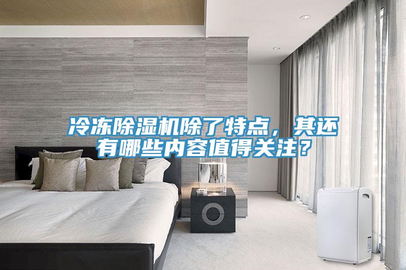 冷凍除濕機(jī)除了特點(diǎn)，其還有哪些內(nèi)容值得關(guān)注？