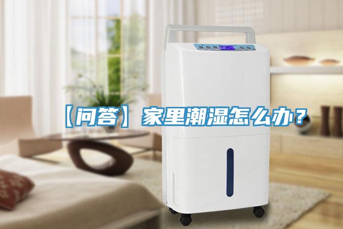 【問答】家里潮濕怎么辦？