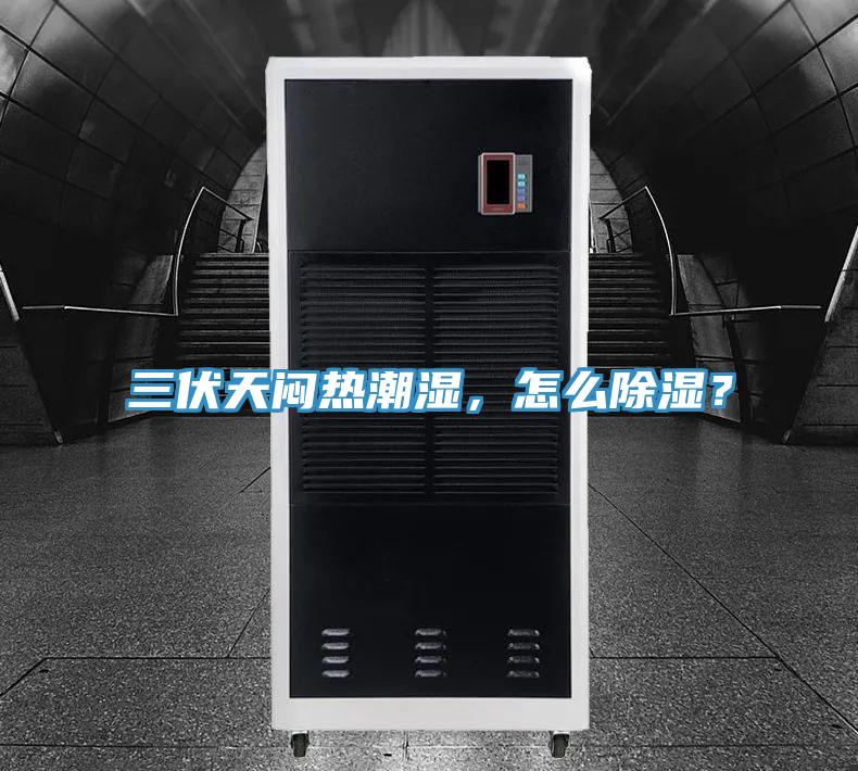 三伏天悶熱潮濕，怎么除濕？