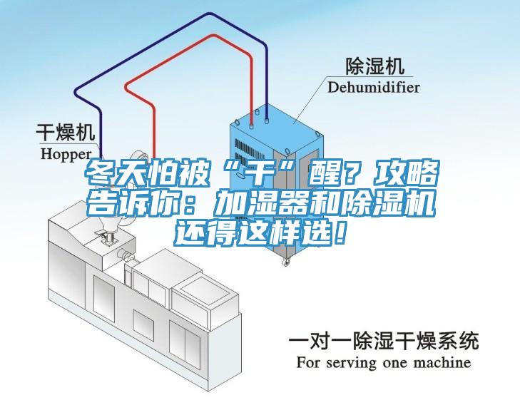 冬天怕被“干”醒？攻略告訴你：加濕器和除濕機(jī)還得這樣選！
