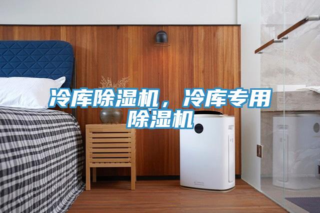 冷庫除濕機(jī)，冷庫專用除濕機(jī)