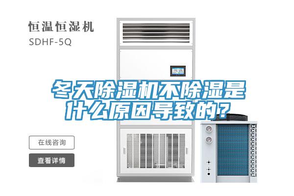 冬天除濕機(jī)不除濕是什么原因?qū)е碌模?></div>
								<div   id=
