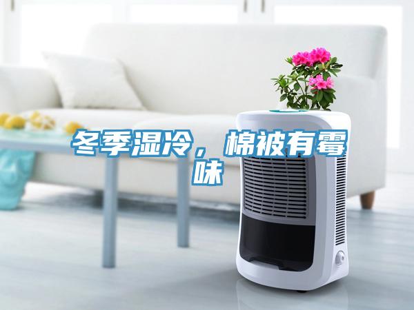 冬季濕冷，棉被有霉味
