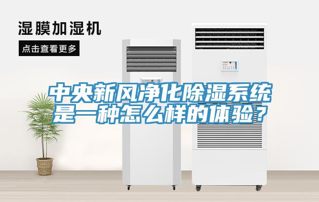 中央新風凈化除濕系統(tǒng)是一種怎么樣的體驗？