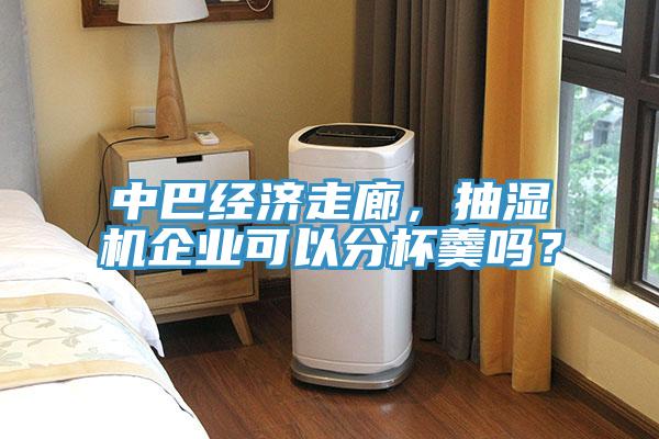中巴經(jīng)濟走廊，抽濕機企業(yè)可以分杯羹嗎？
