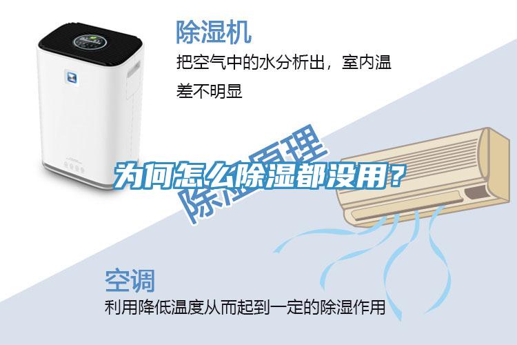 為何怎么除濕都沒(méi)用？