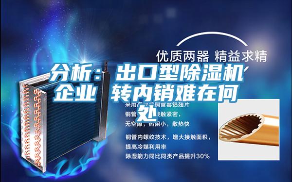 分析：出口型除濕機(jī)企業(yè) 轉(zhuǎn)內(nèi)銷(xiāo)難在何處